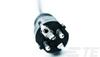Click here for product details for 1591311-1 Click here for product details for 1591311-1