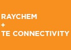 How to Install: Raychem BPTM