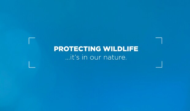 Protection is our Nature