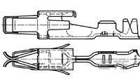 Line Drawing