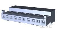 10P MTA100 CONN ASSY POL RIB-1-643813-0