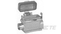 HA.10.SGD-LB.2.M20G-1106410-1