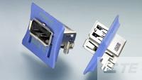 USB,REC,TYPE A,W/ CAP,R/A,DIP ,AU 30U