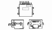 RJ45 Tab-Down RVS OFST TRY 50u