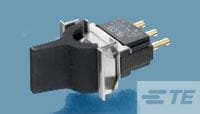 FLN19BLACK04=LEVER ACTION SWITCH-3-6437630-7