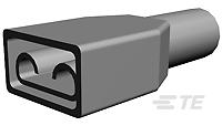 PIDG FI BLU FSTN RCP 250X032-696366-1