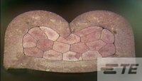 CROSS SECTIONAL PHOTO-1424359-1