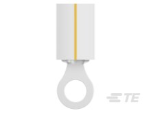 53403-1 : PIDG Ring Terminals | TE Connectivity
