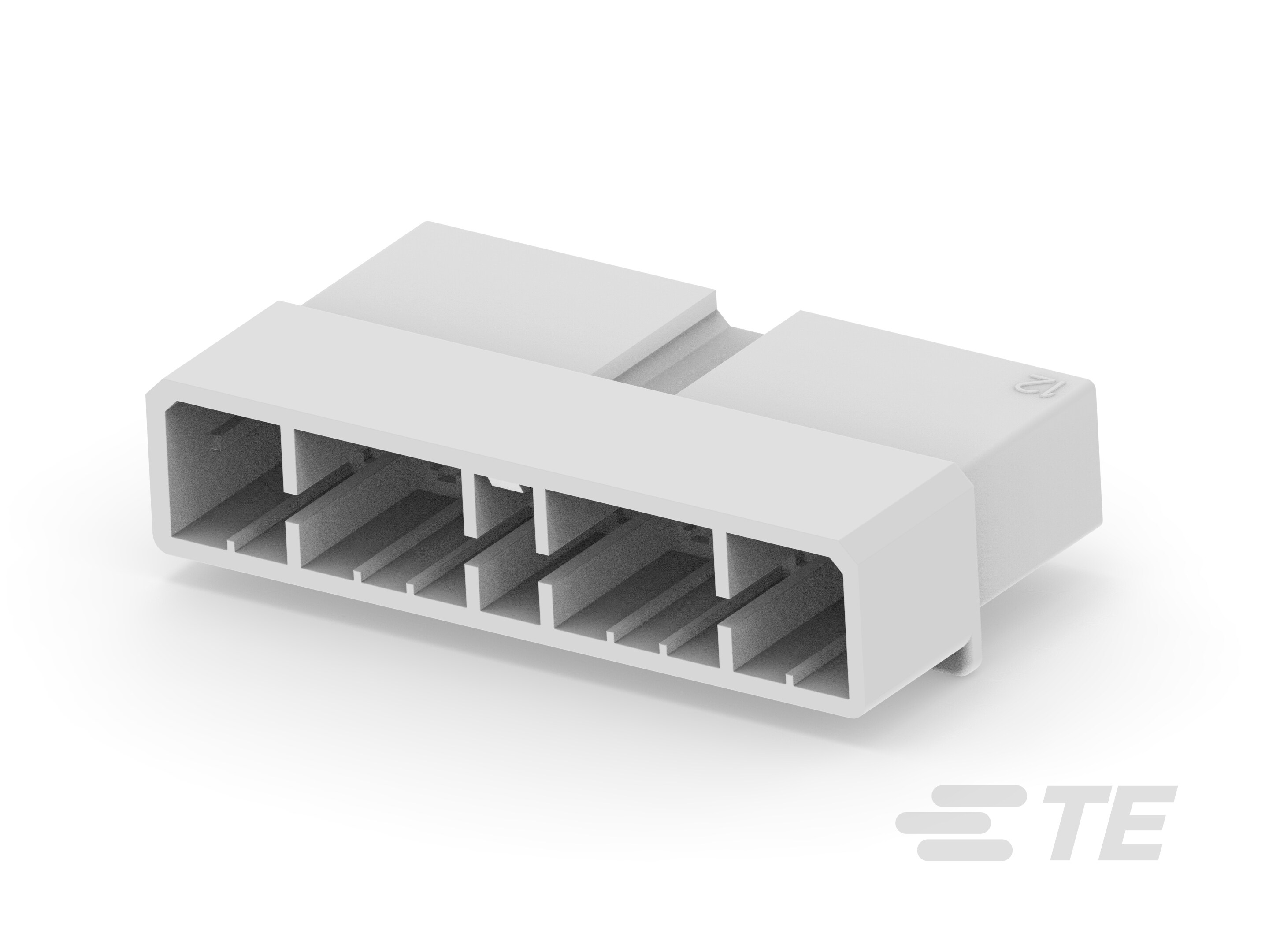 MIC CAP 21P-171829-1