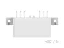 お礼や感謝伝えるプチギフト Medium & Low AMP : 173860-1 Power Connectivity TE | Header トップス