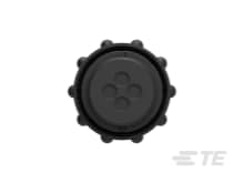 product-details.png