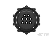 product-details.png product-details.png