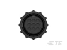 product-details.png