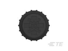 product-details.png