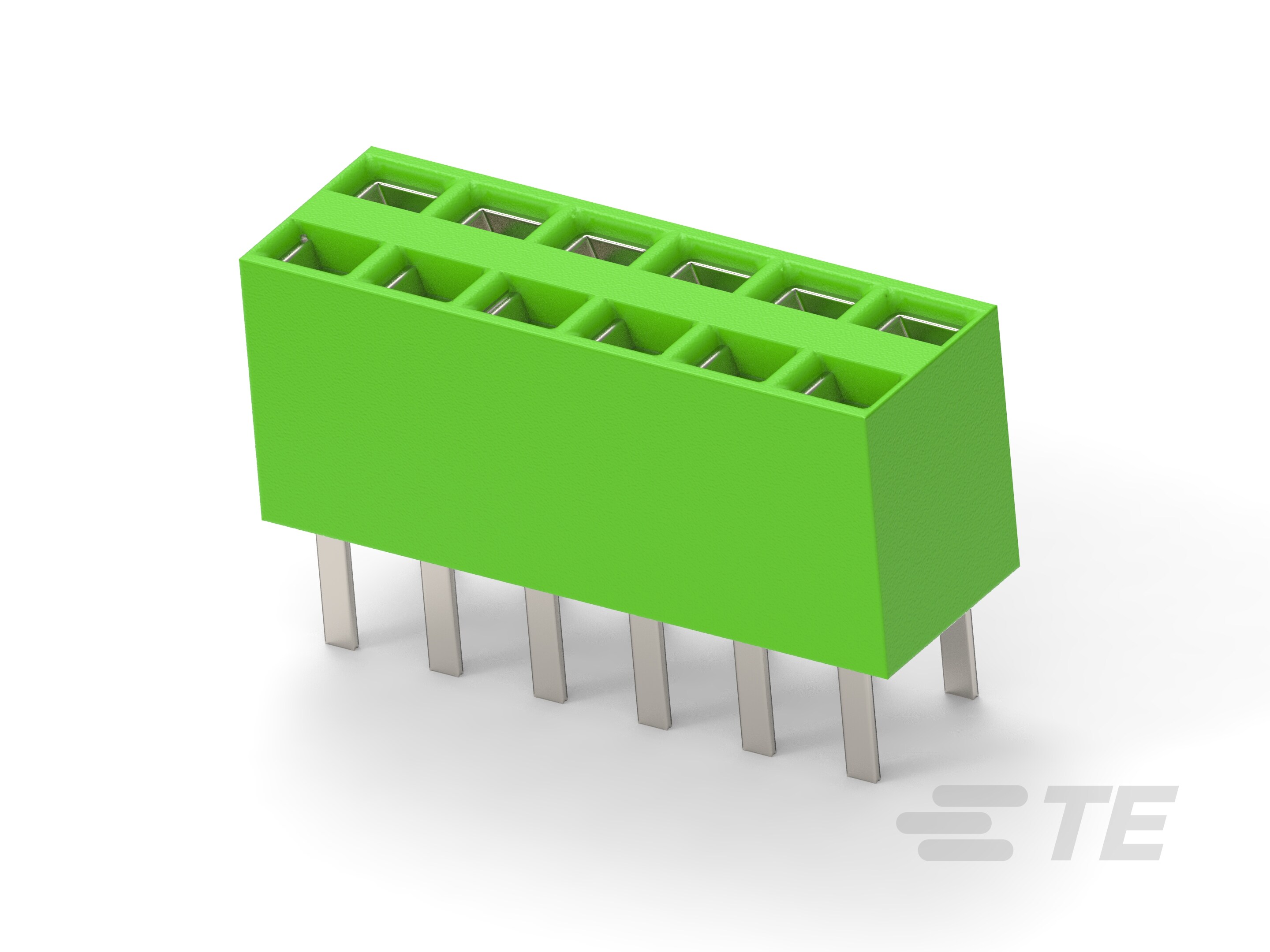2X 6P HV100STECKLEI-215316-6