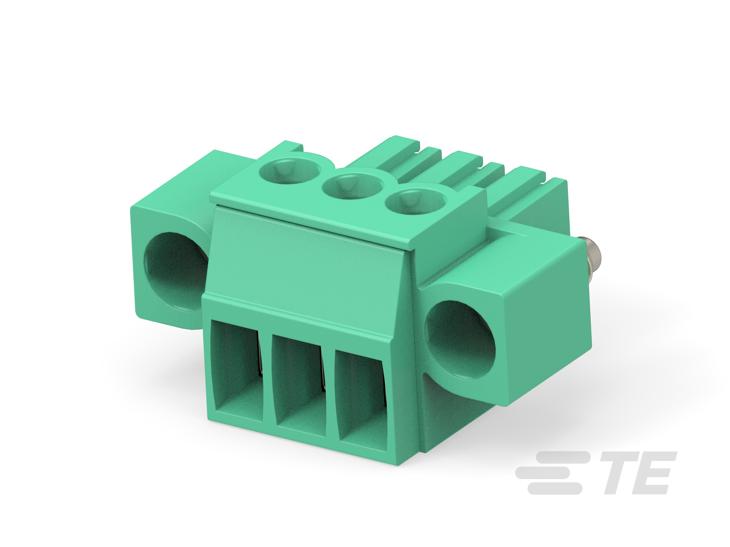 逆輸入 規格ターミナル PCB Buchanan : 284510-3 ブロック TE | アイドル