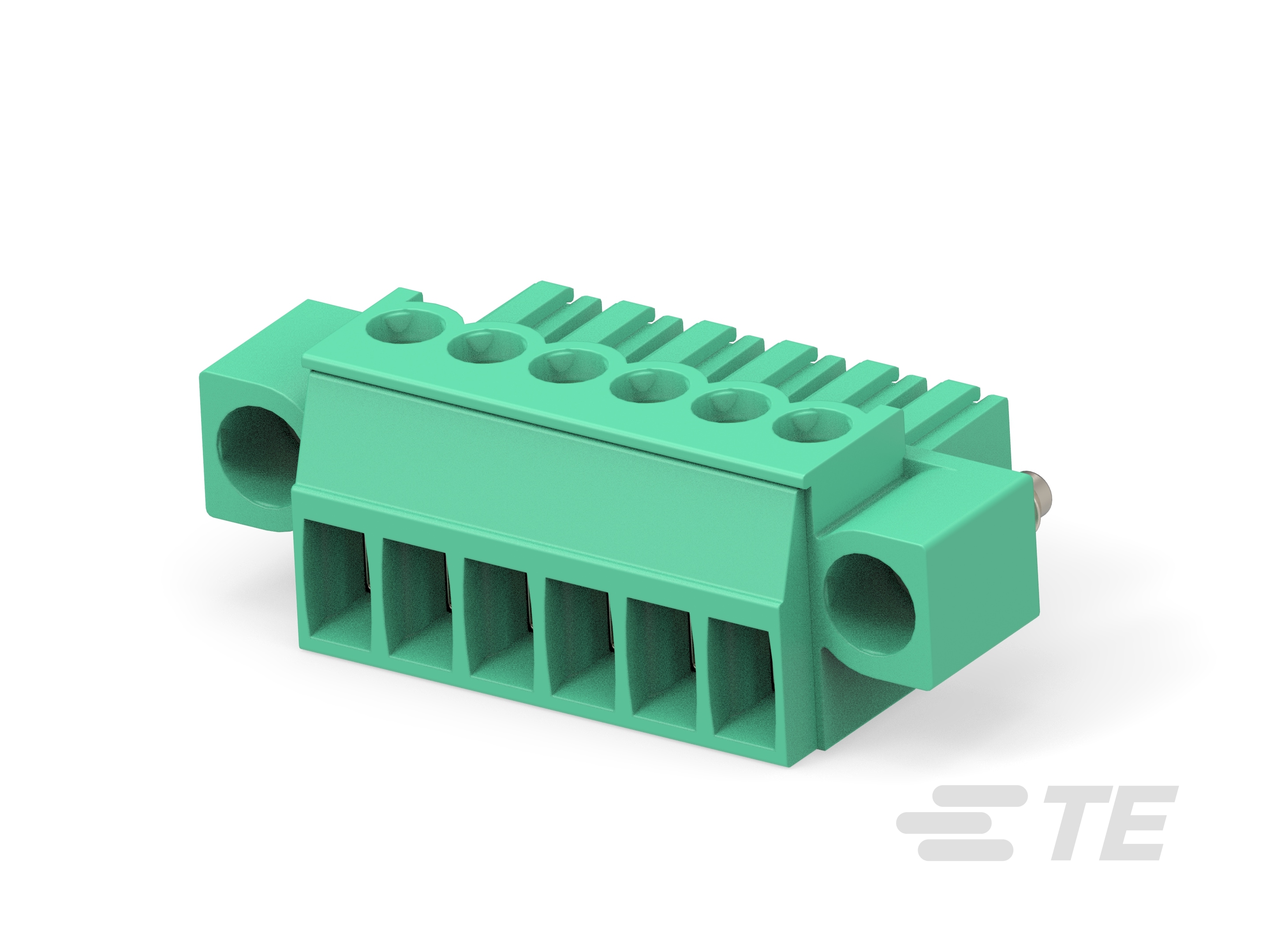 6P TERMI-BLOK PLUG CON VITI-284510-6