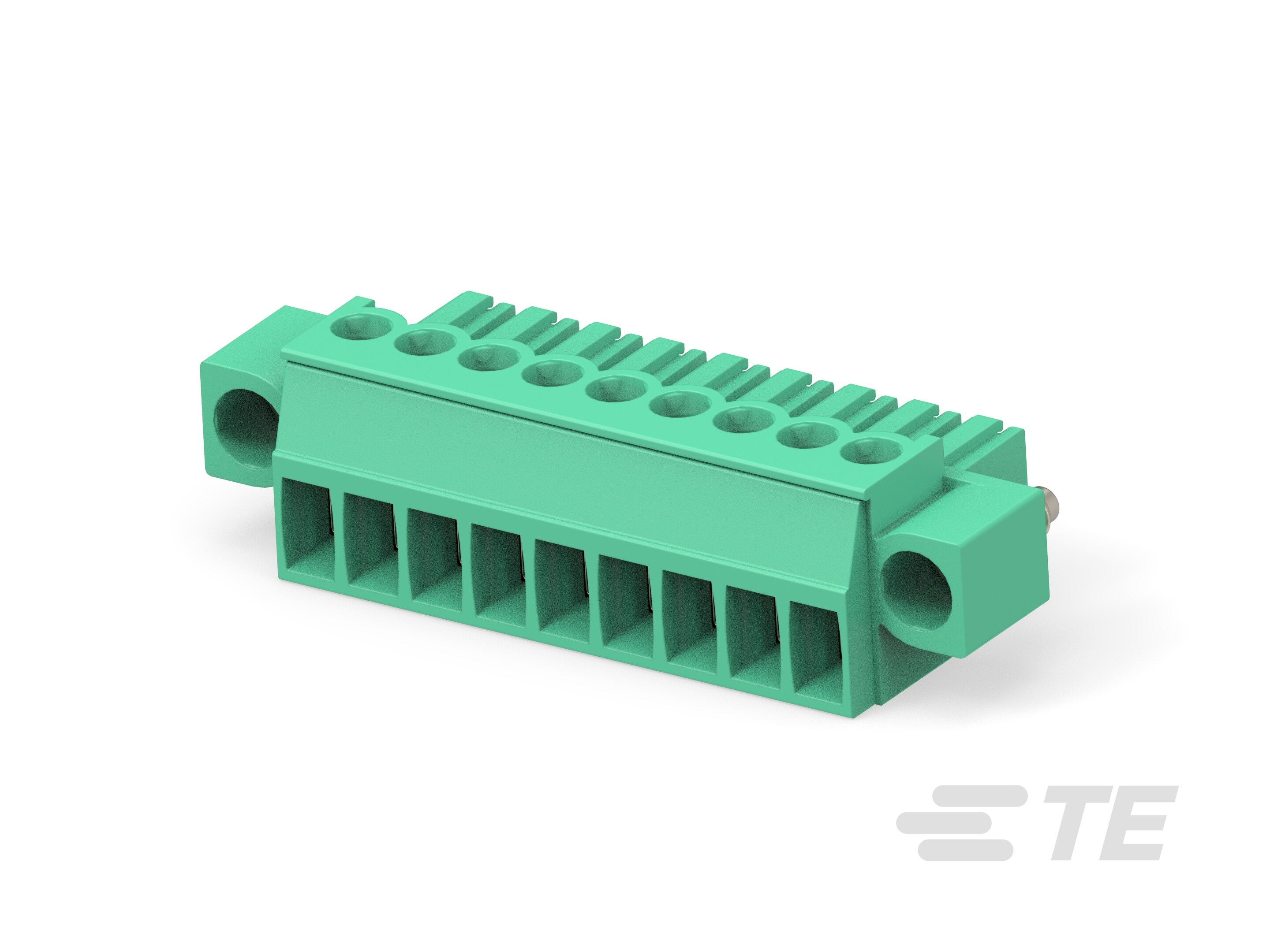 9P TERMI-BLOK PLUG CON VITI-284510-9