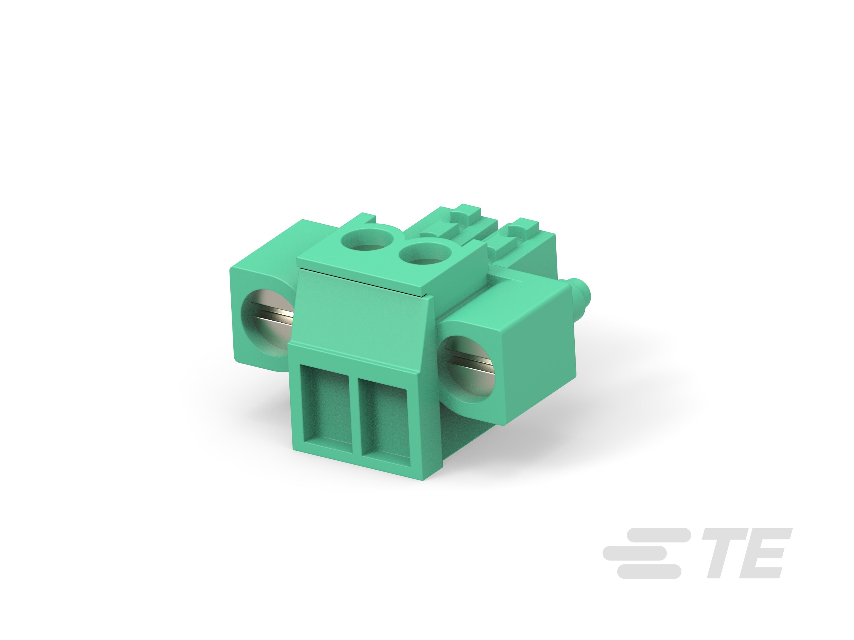 2 POS TERMI-BLOK PLUG C. VITI-284511-2