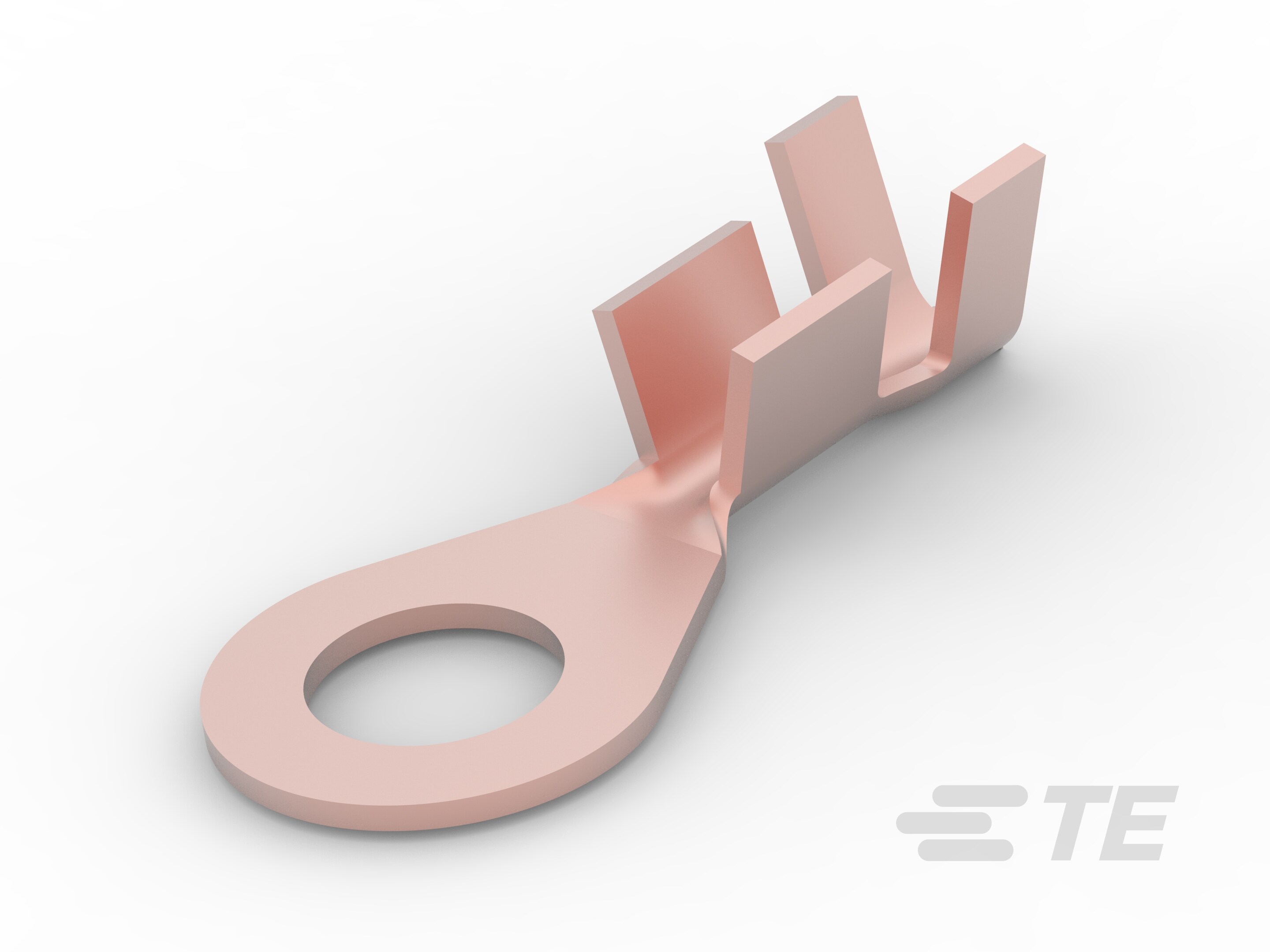 DIN. RING TONGUE-346101-2