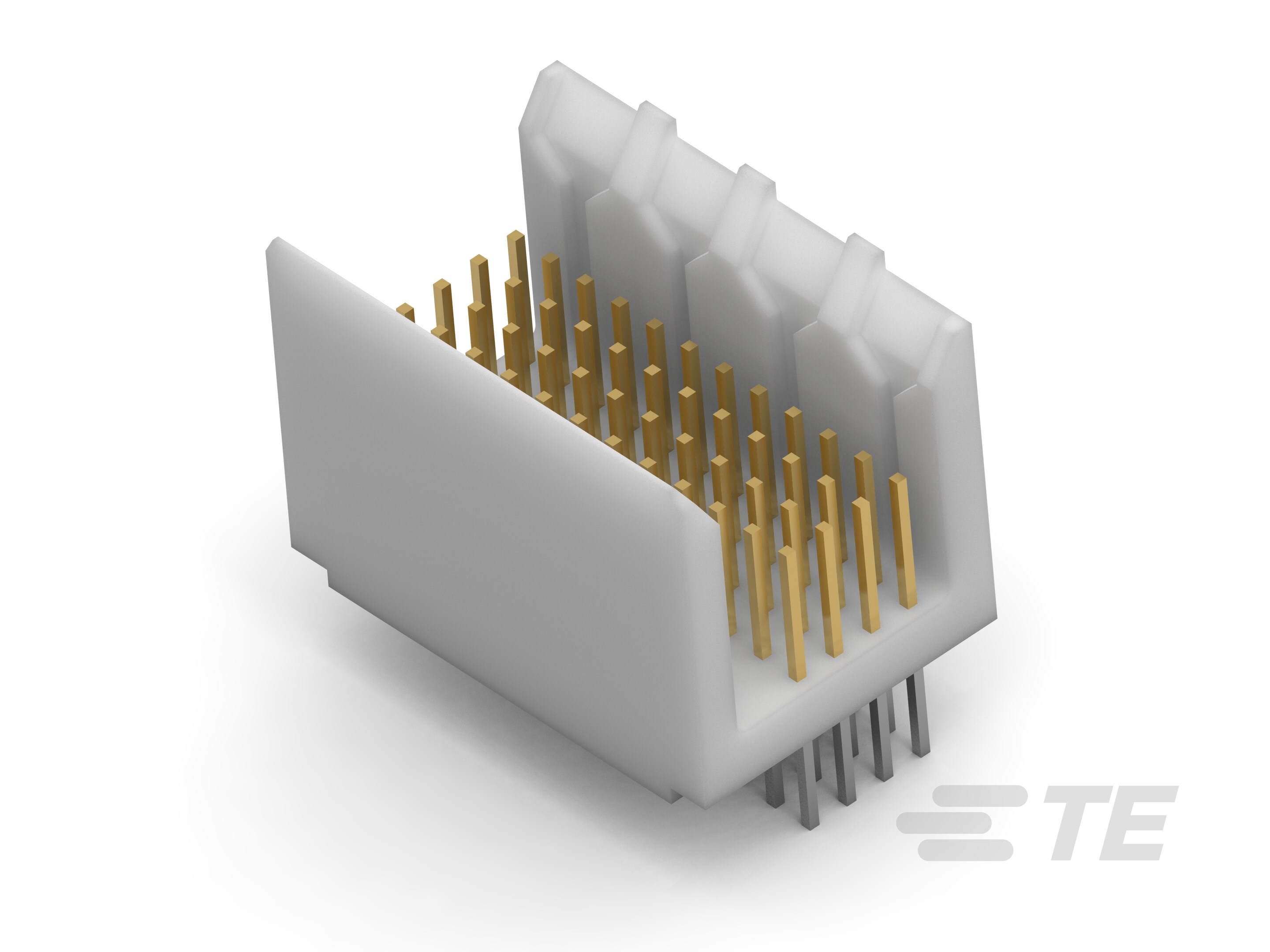 2MM FB,ASY,048,SIG,HDR,EN,6.50-536504-2
