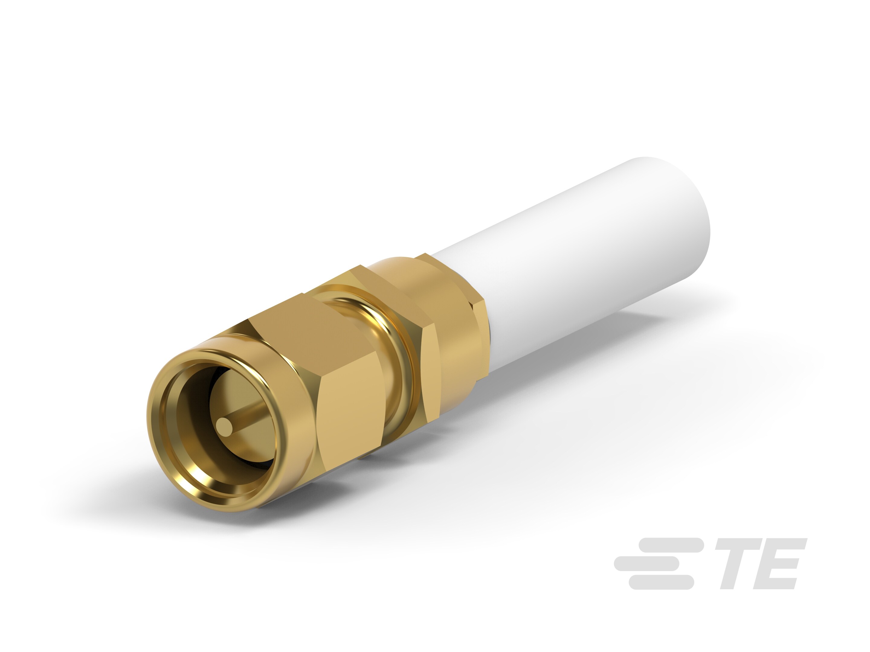 2031 5012 00-1051664-1