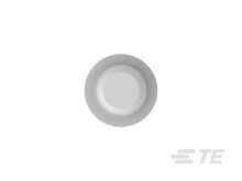 【セール】福袋のファッション通販 DEUTSCH : 114017-ZZ Vedação para Cavidade de Tampões e トップス