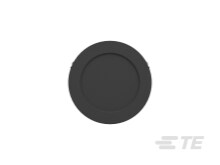 レシラム ex sar レシラムex SAR [SV11W 168/086](拡張パックホワイトフレア