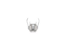 1241380-1 : AMP MCP 1.5 mm Automation Ready Terminals for Automotive ...