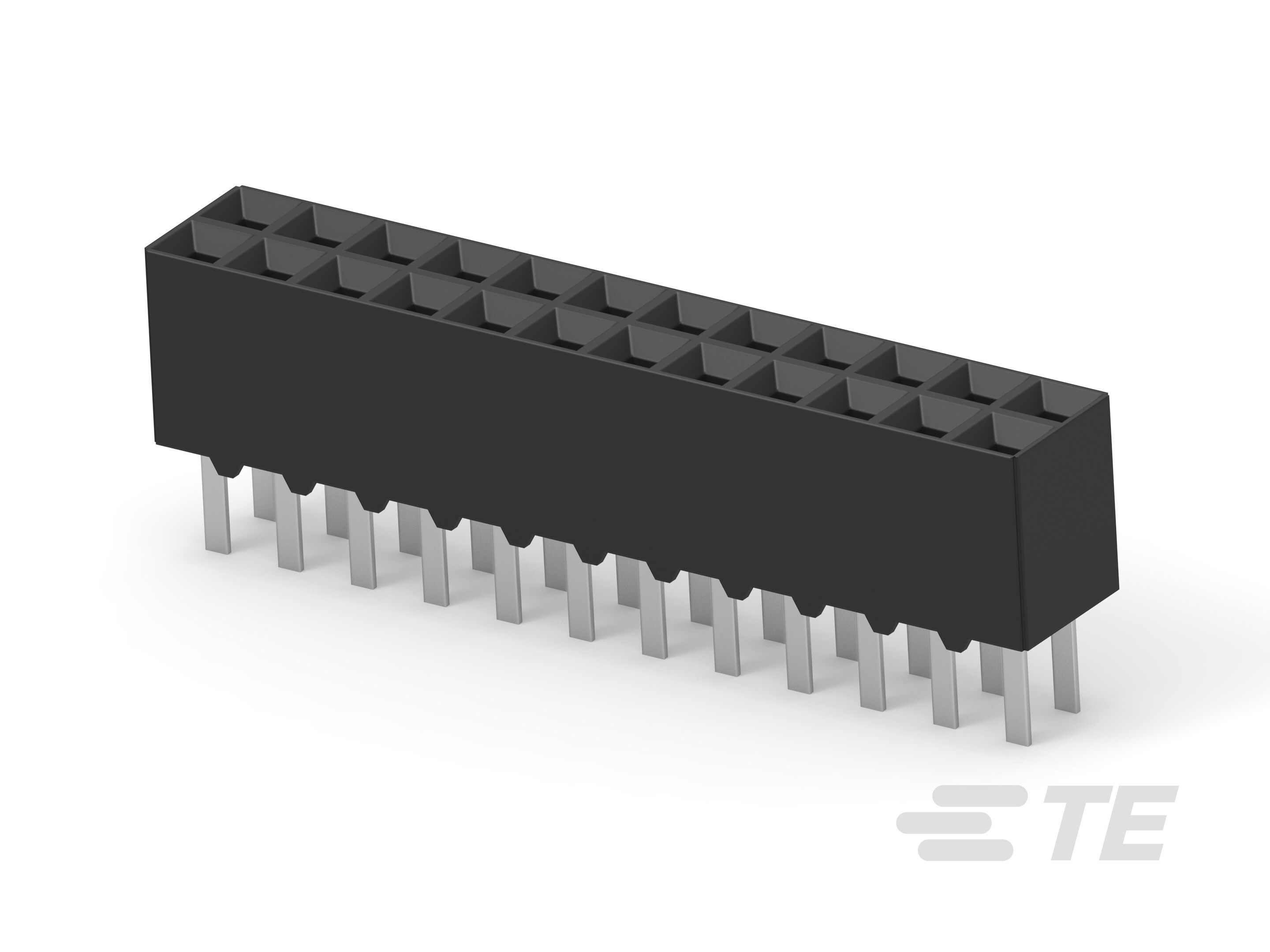24 MODIV VRT DR CE 100/125-1-534998-2