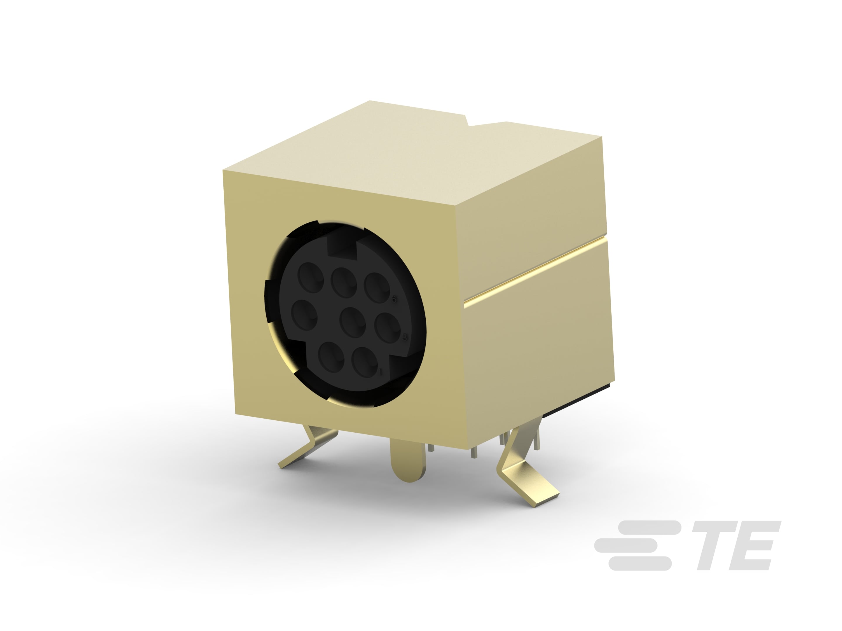 Mini DIN, 8 pos, R/A, Shield-1658998-1