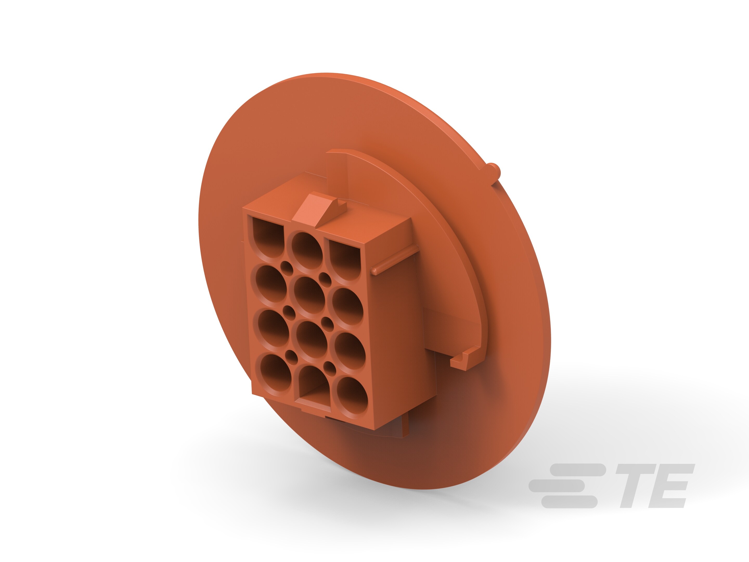 12P UMNL CAP HSG,PAN MNT,BROWN-1-794762-1