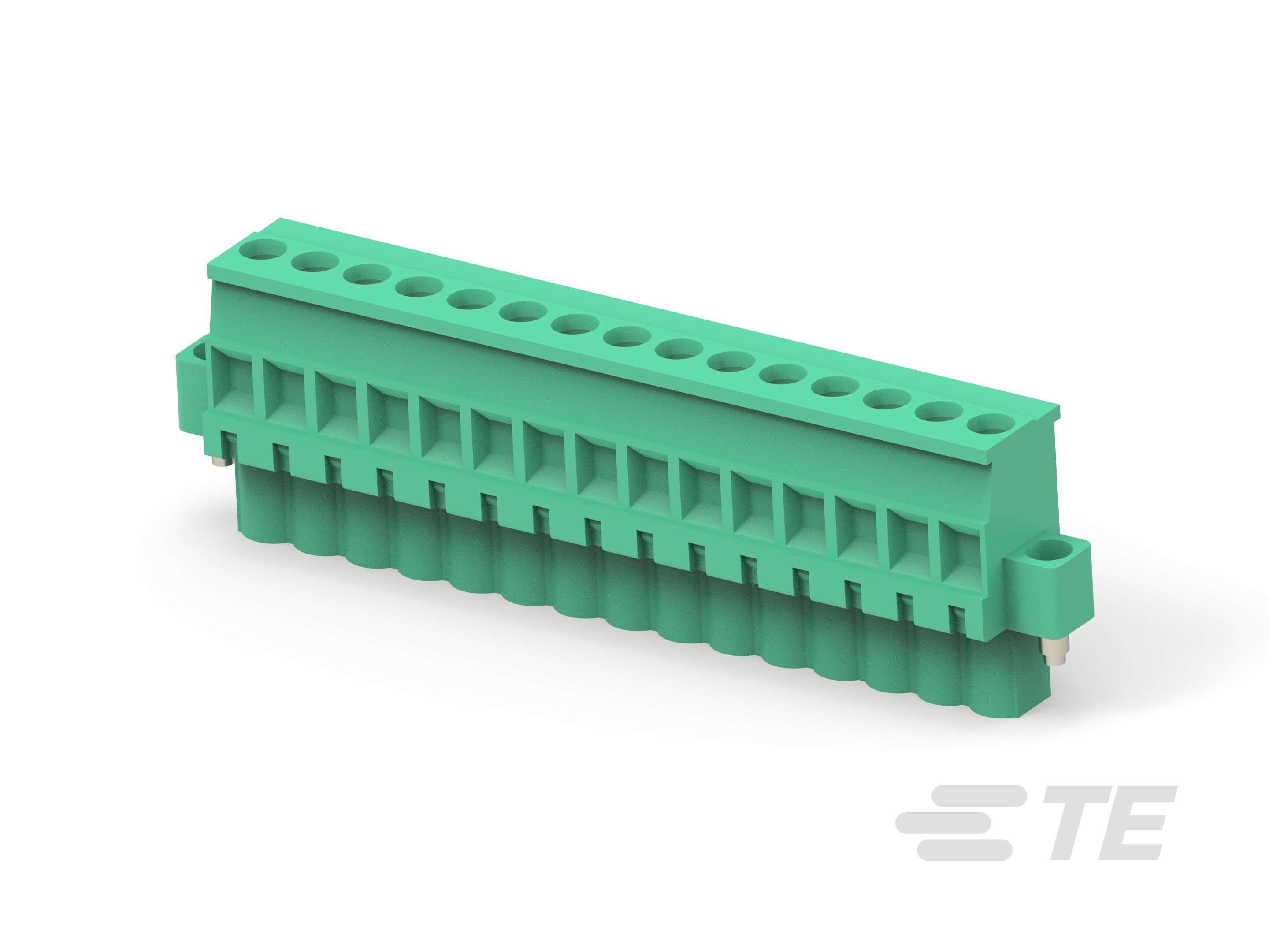 15POS TERMI-BLOK PLUG VERTICAL-1-796861-5
