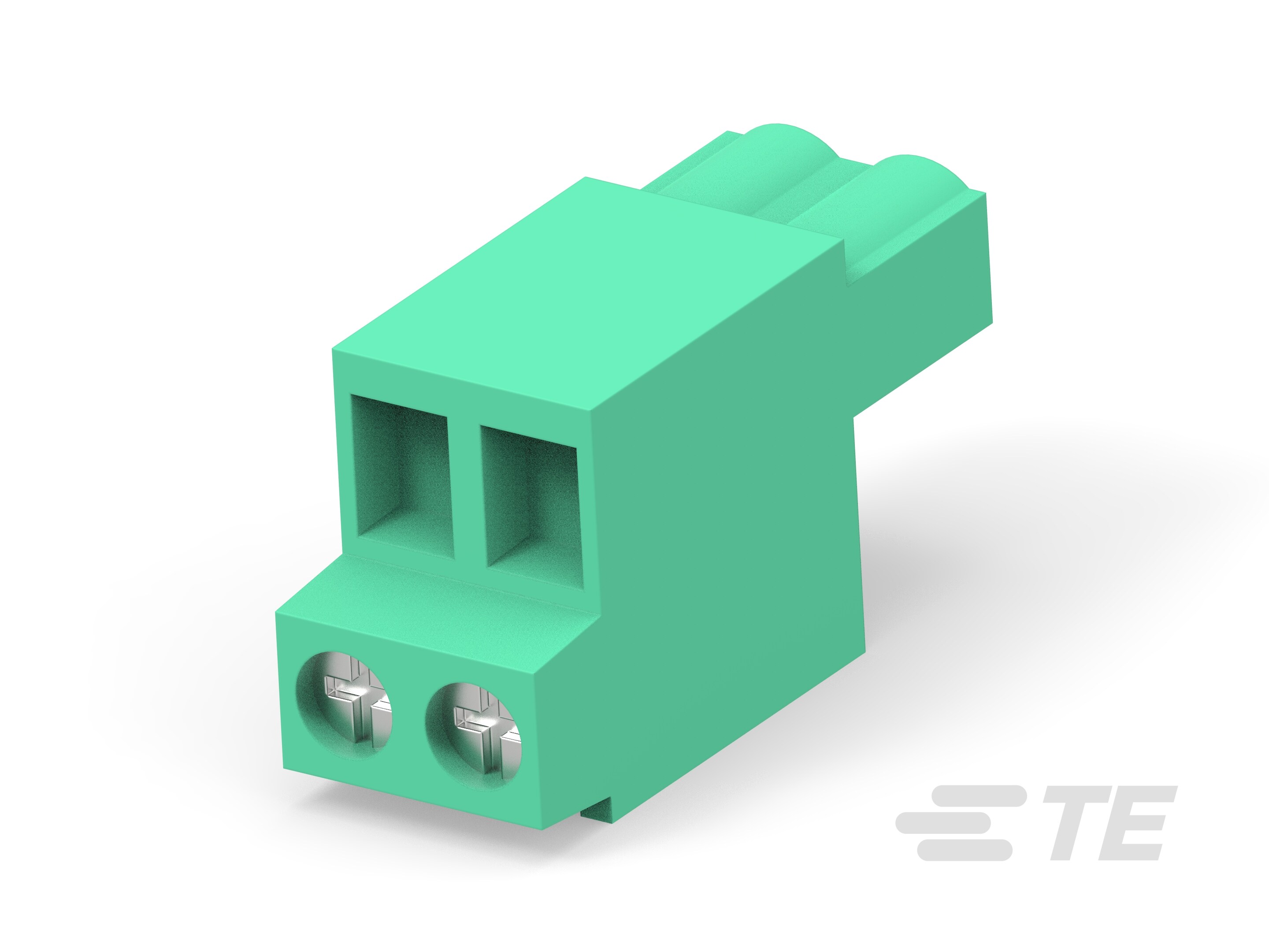 Plug, 5.08mm, Gn, Ss & WE same side, 2p-1986484-2