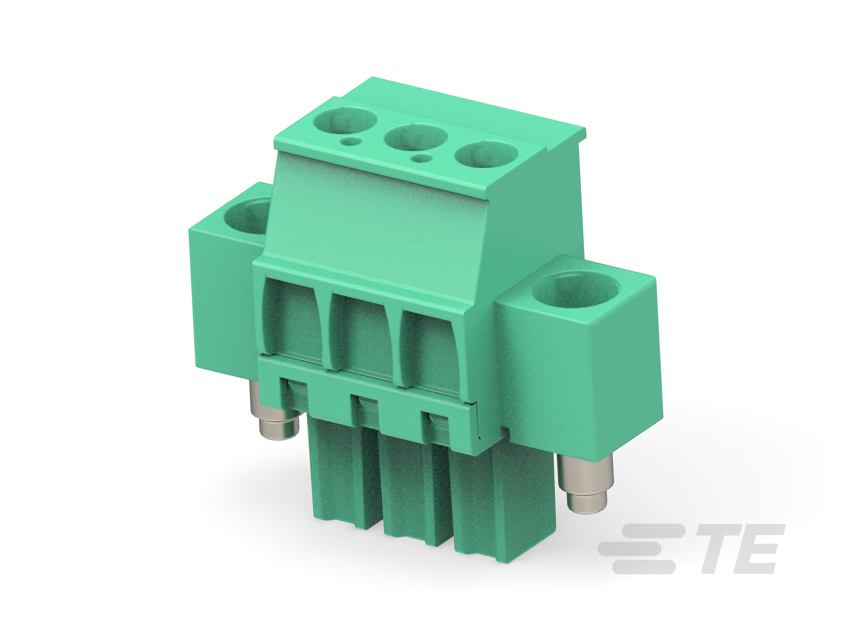 3P TB,3.81,F,VER,LOCK SRW FLG(LEFT)-1986822-3