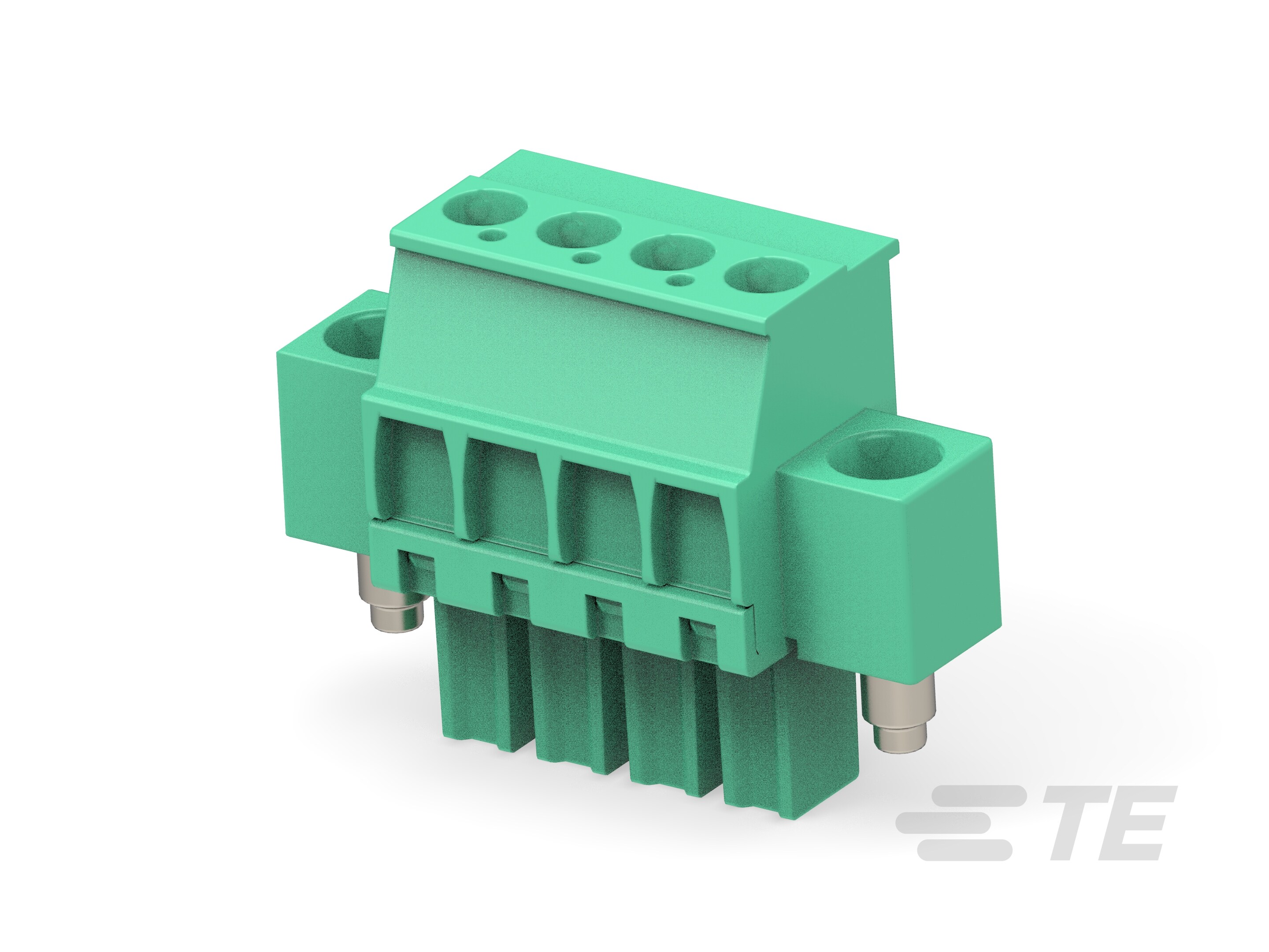 4P TB,3.81,F,VER,LOCK SRW FLG(LEFT)-1986822-4