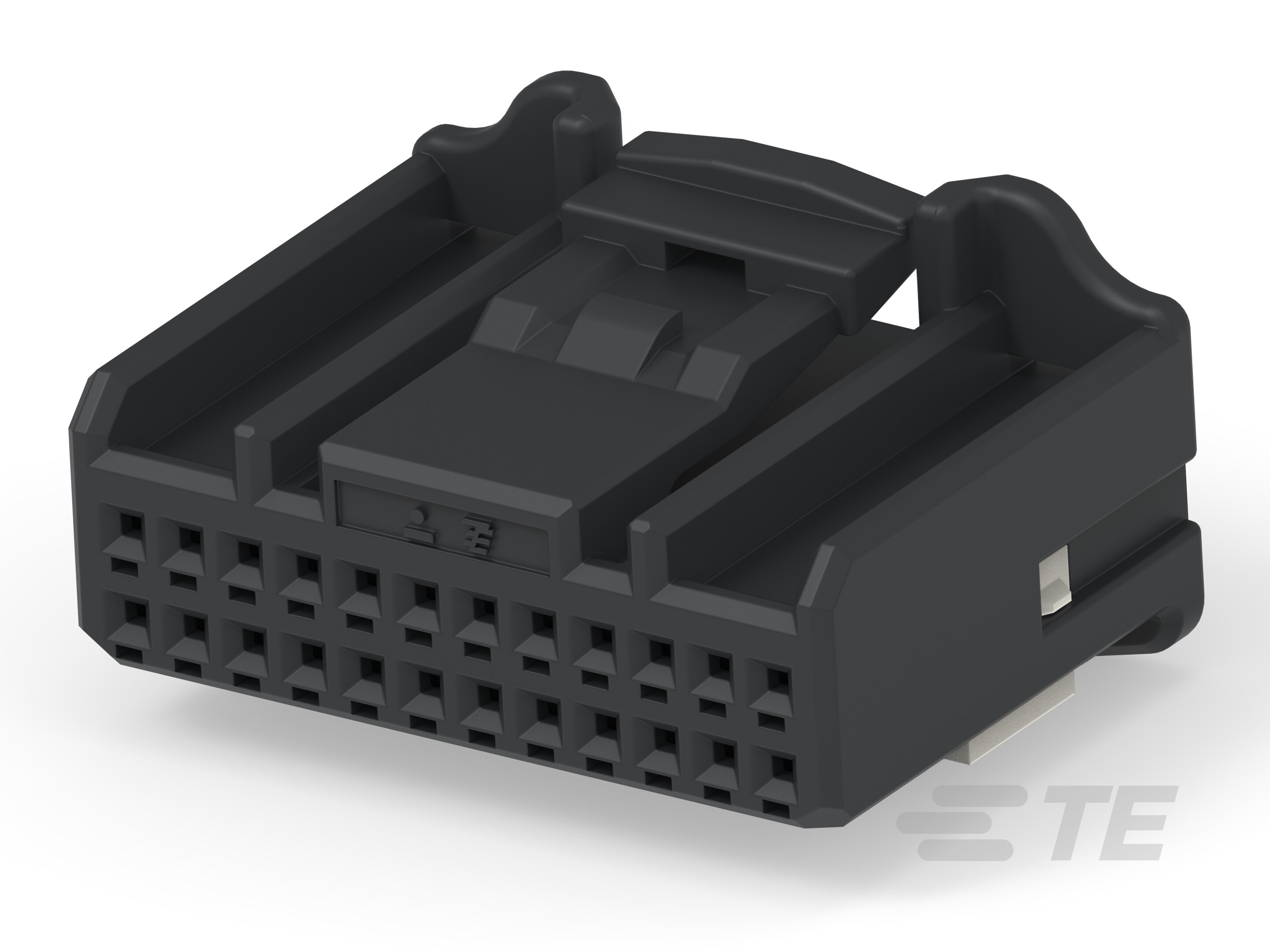 025 24P PLUG ASSY BLK-2005082-2