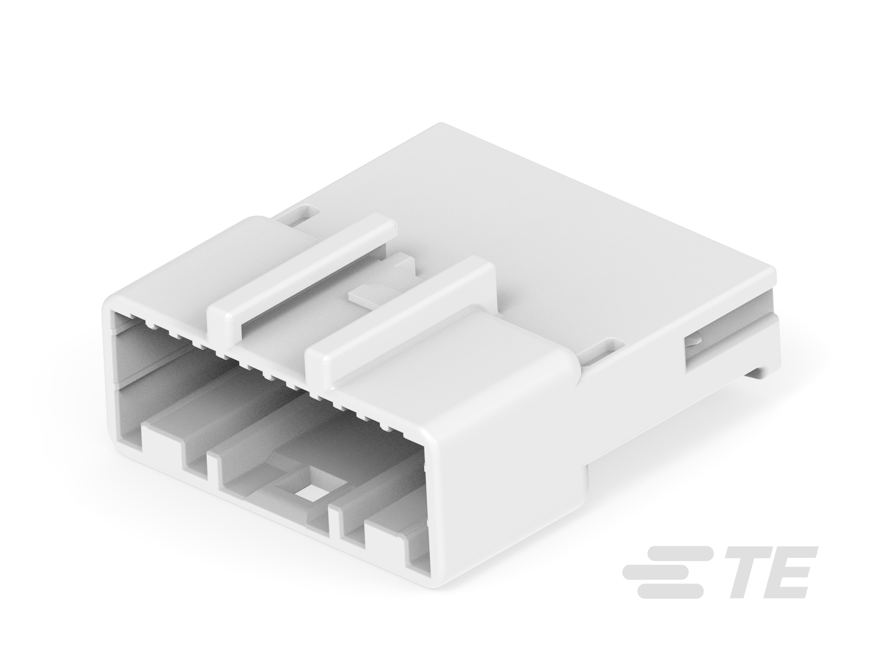 025 24P CAP ASSY-2005085-1