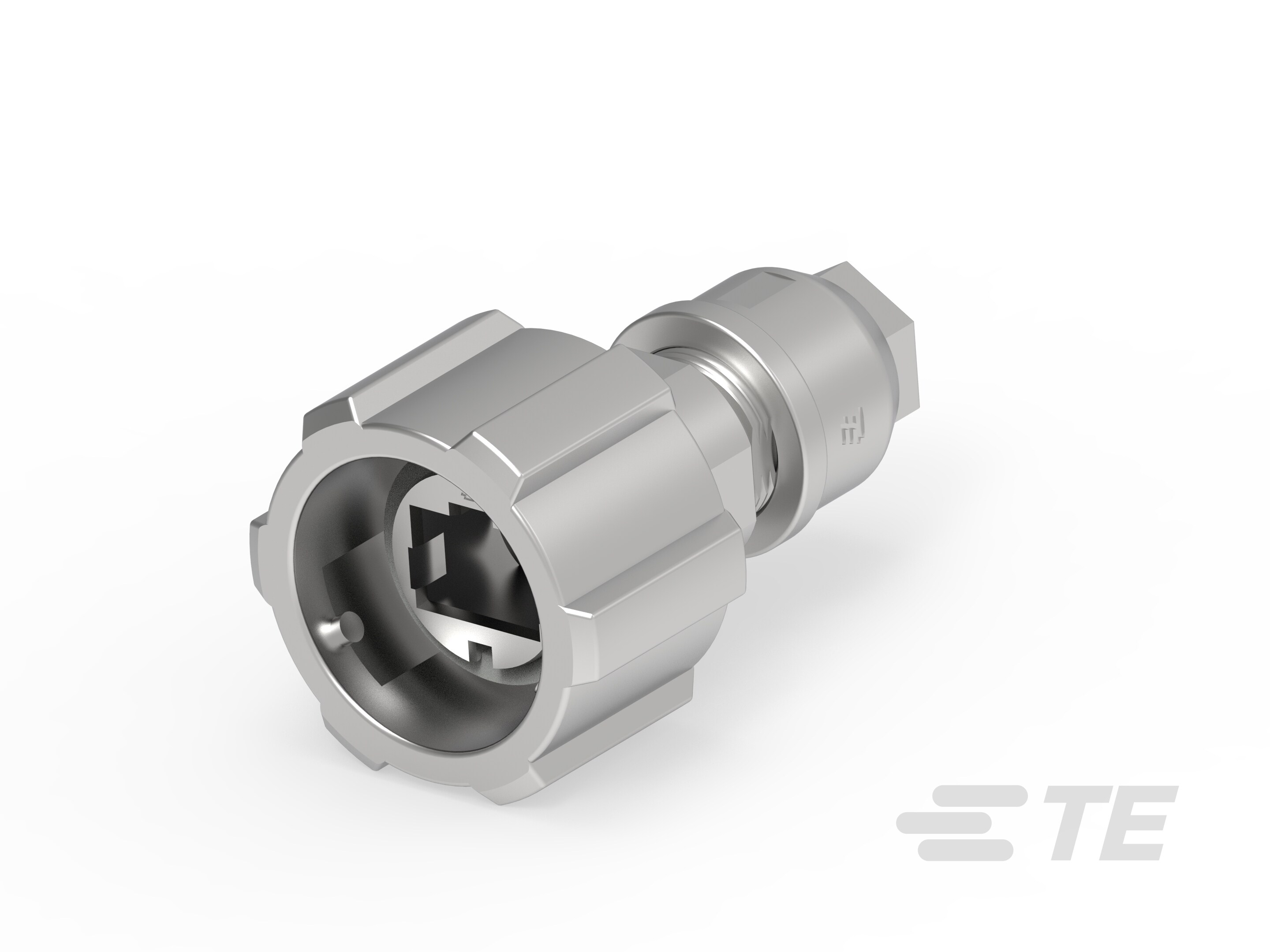 Plug Assembly-2008565-1