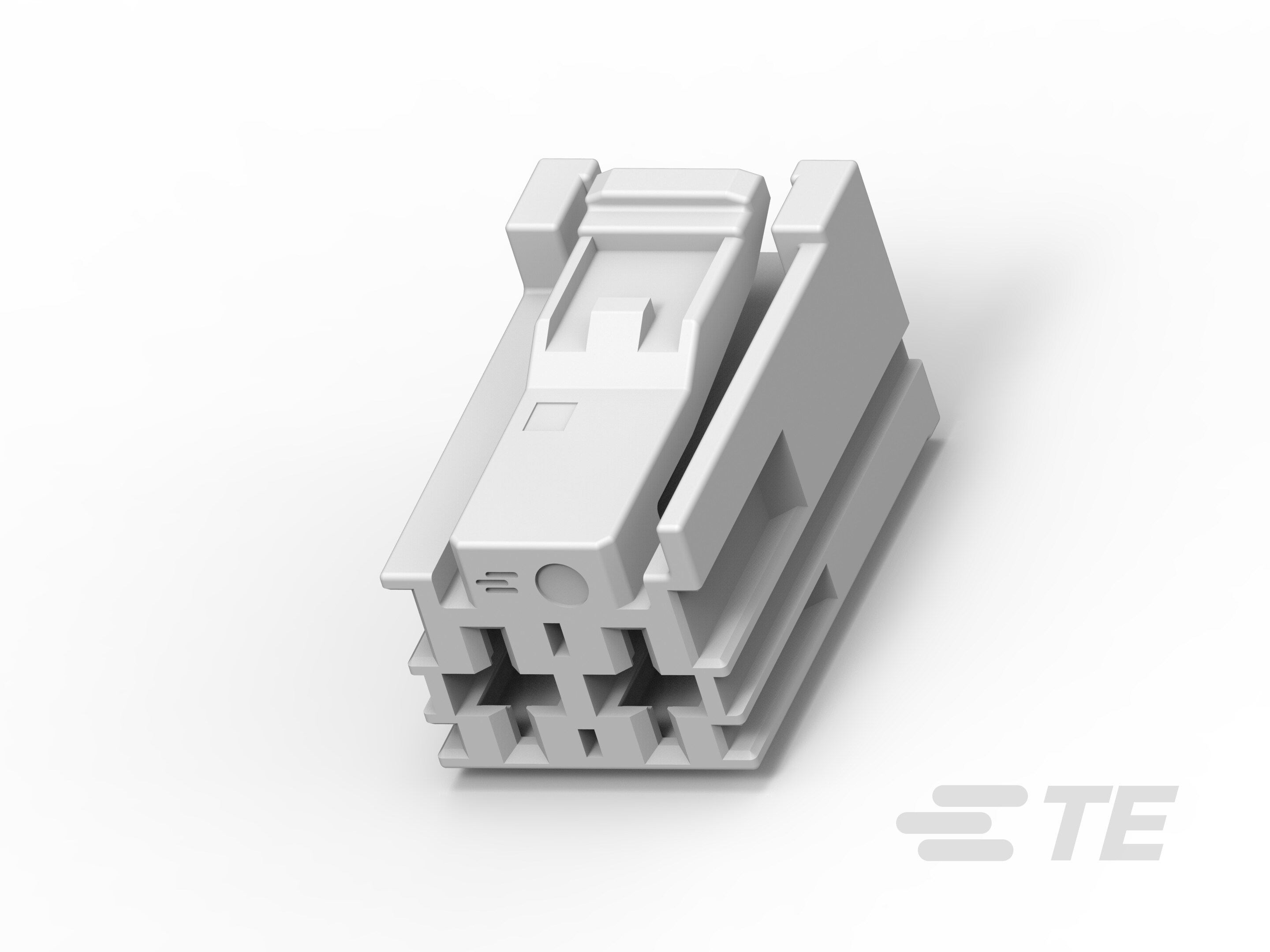 2Pos MCP6.3 Plug HSG-2137182-1