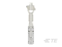プルメリア　二点 1F|プルメリア入荷しました。 | オザキフラワーパーク