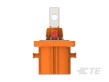 image;width=auto,format=auto/