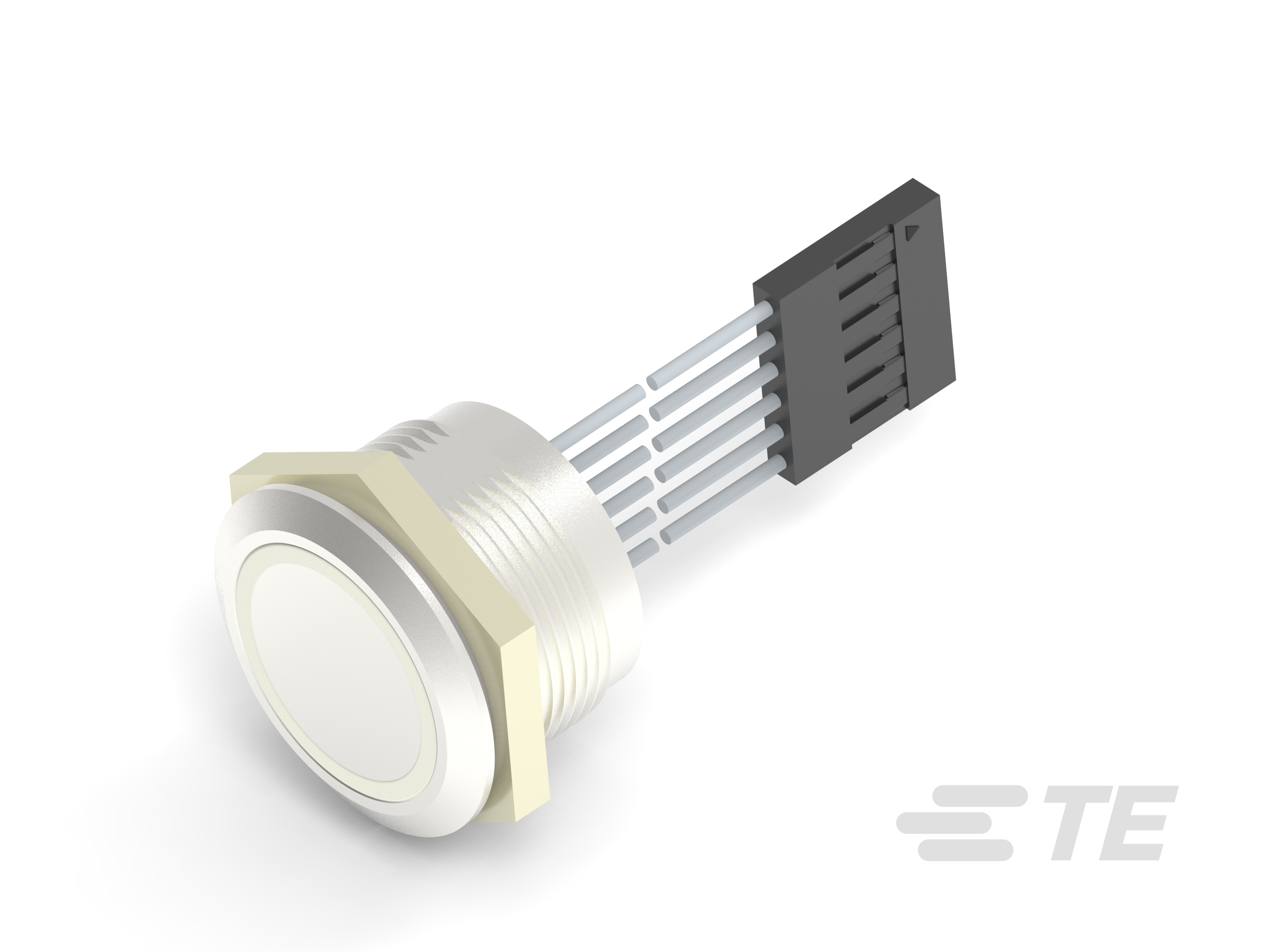AVC22M FLAT S04 RGB R 500MM/1X6-2342836-8