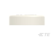 2389821-1 : HIVONEX Automotive Connector Caps & Covers | TE Connectivity