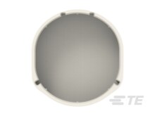 2389821-1 : HIVONEX Automotive Connector Caps & Covers | TE
