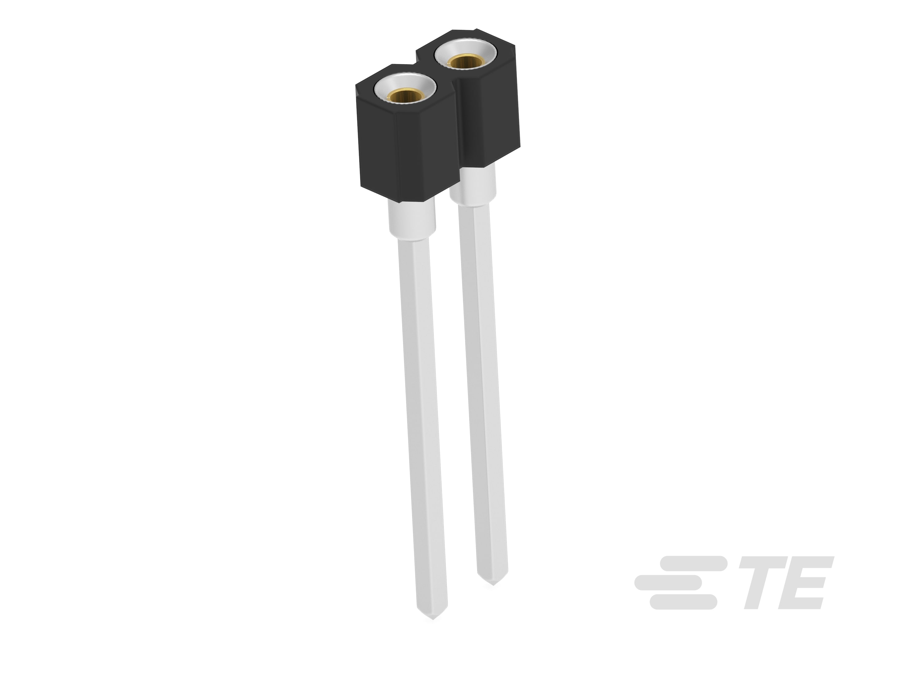 SIP SKT 02POS AU FLASH-2485256-1
