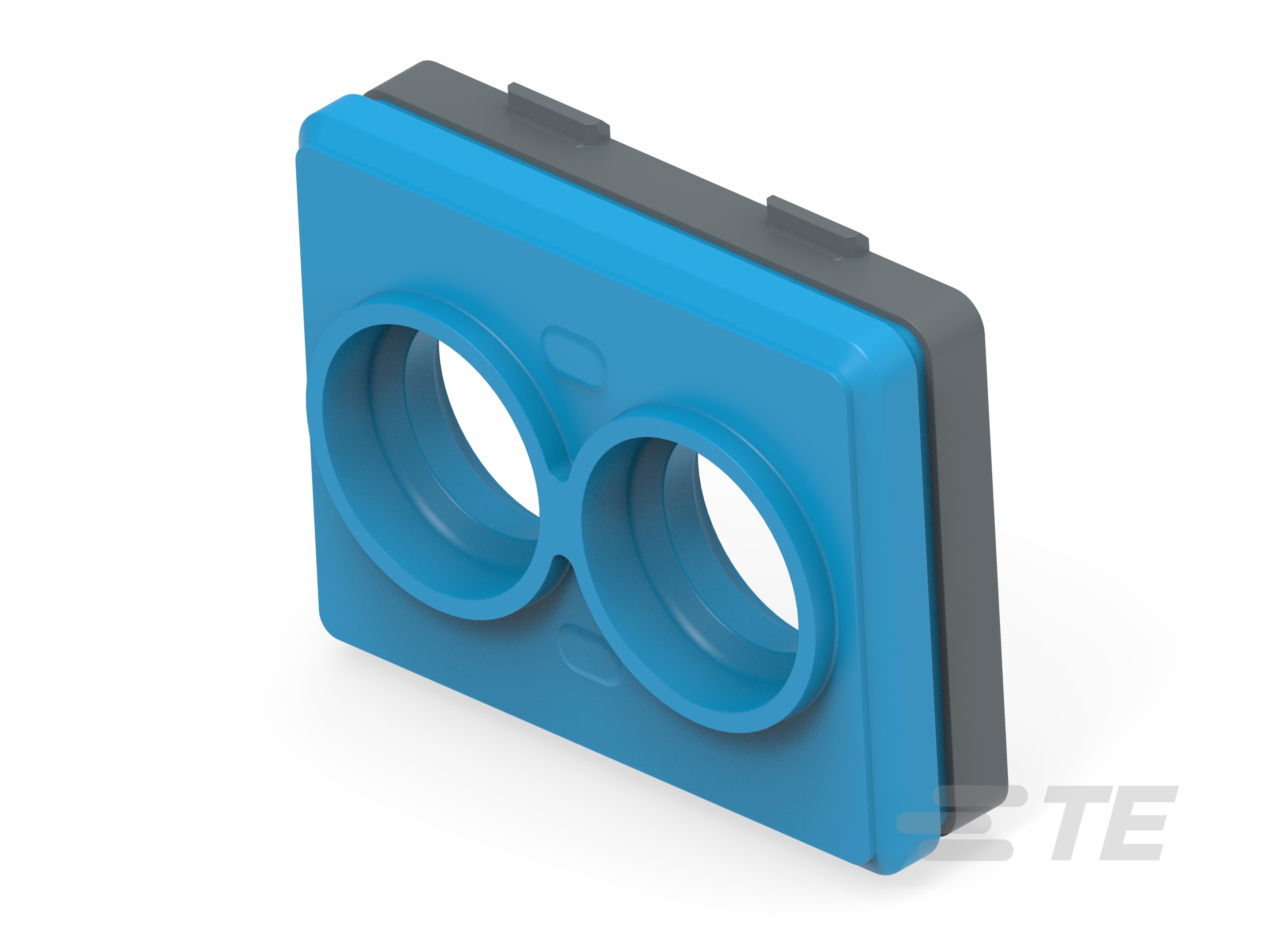 PERIPHERAL SEAL,BLU,SPACER, OVERMOLDED-2840571-1