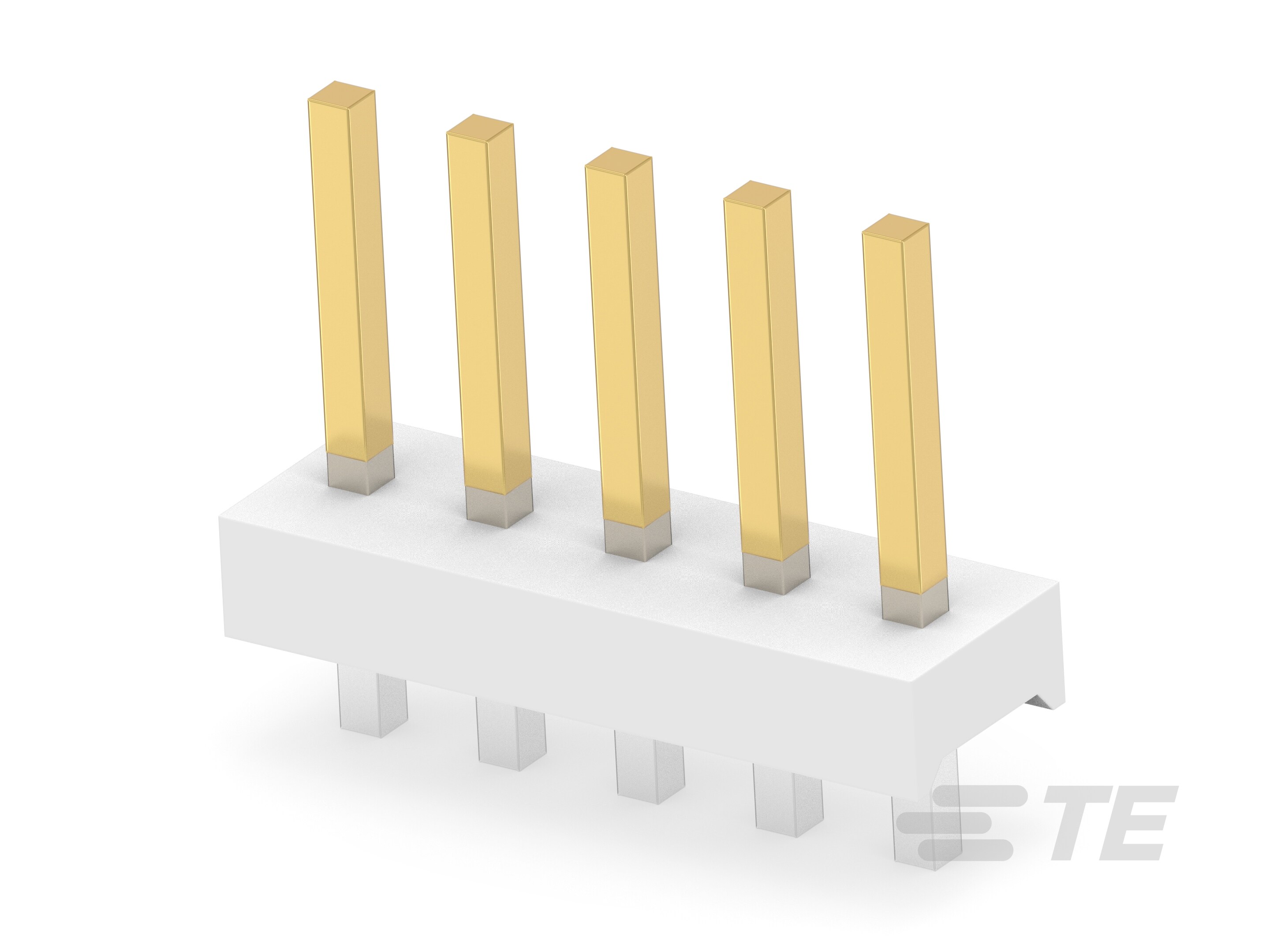 05P MTA156 HDR ASSY PL 30AU LF-3-641202-5