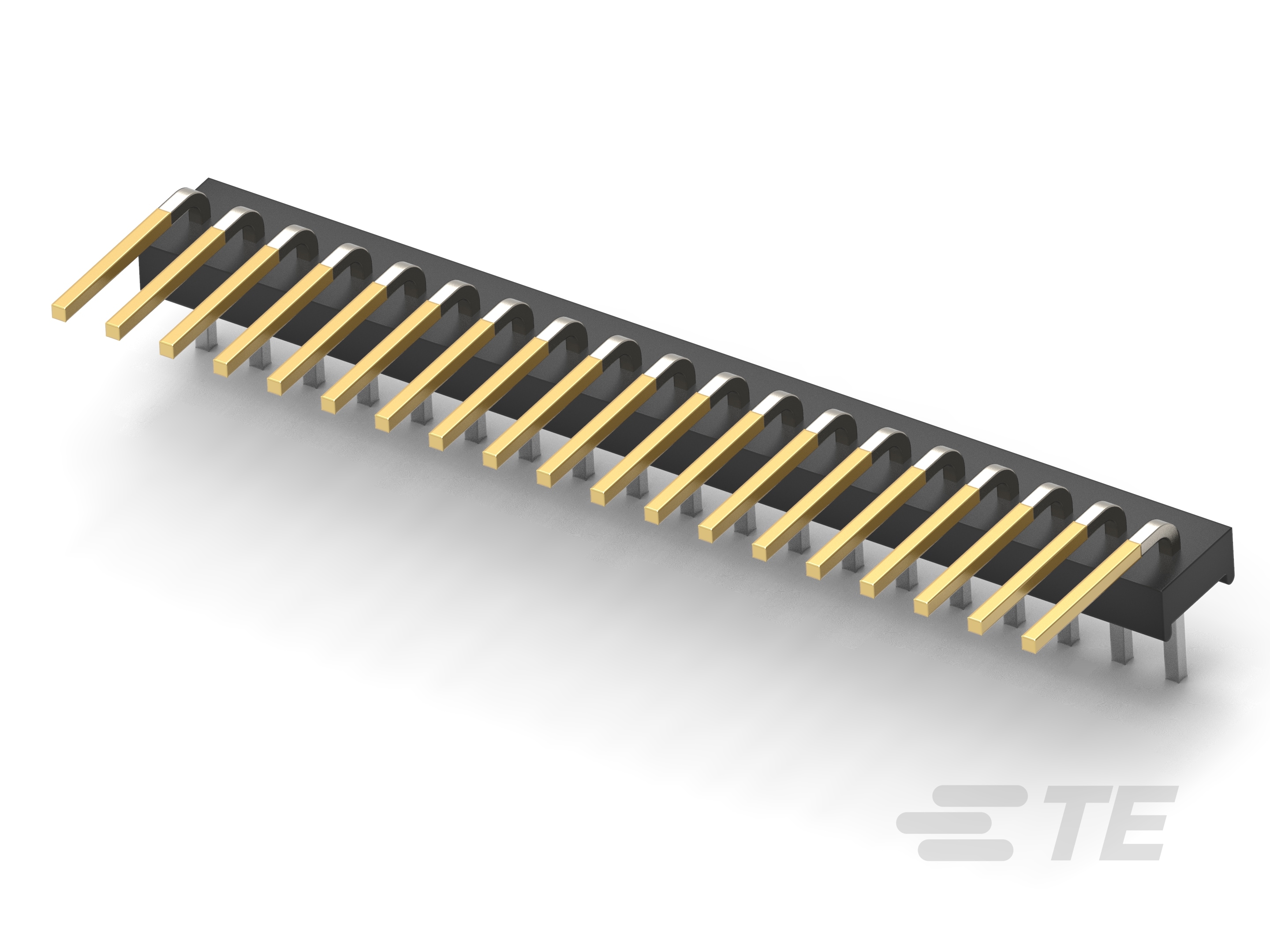 19P MTA100 HDR ASSY PL RA LF-4-641212-9