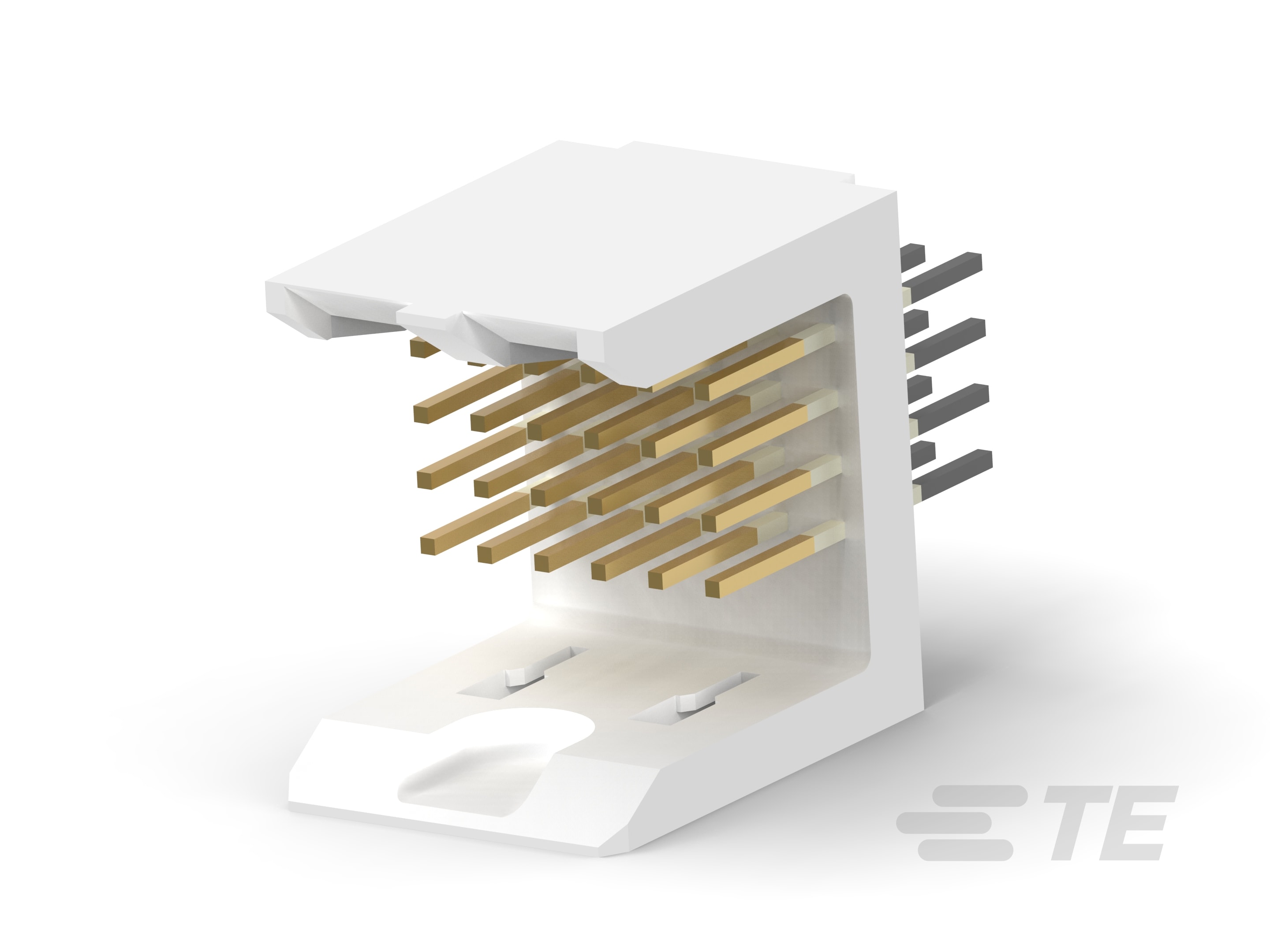 2MM FB,ASY,024,SIG,HDR,EN,6.50-5536504-1
